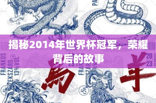 揭秘2014年世界杯冠军，荣耀背后的故事吉安市靖泰电力工程有限公司
