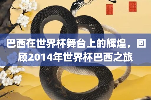 巴西在世界杯舞台上的辉煌，回顾2014年世界杯巴西之旅
