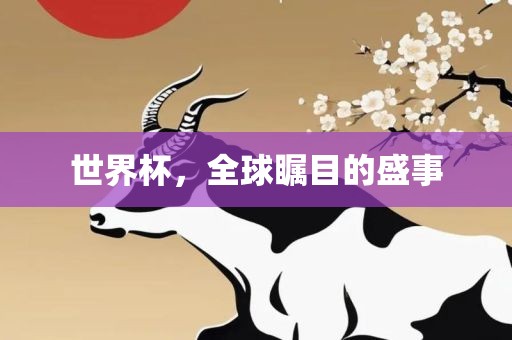 世界杯，全球瞩目的盛事