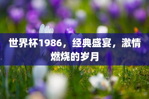 世界杯1986，经典盛宴，激情燃烧的岁月