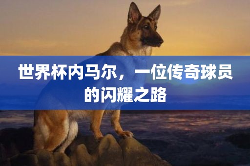 世界杯内马尔，一位传奇球员的闪耀之路