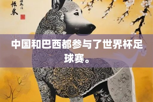 中国和巴西都参与了世界杯足球赛。