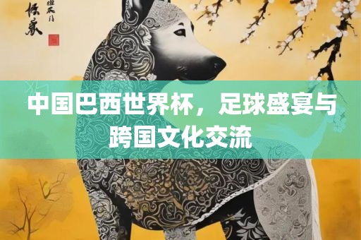 中国巴西世界杯，足球盛宴与跨国文化交流
