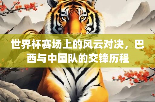 世界杯赛场上的风云对决，巴西与中国队的交锋历程