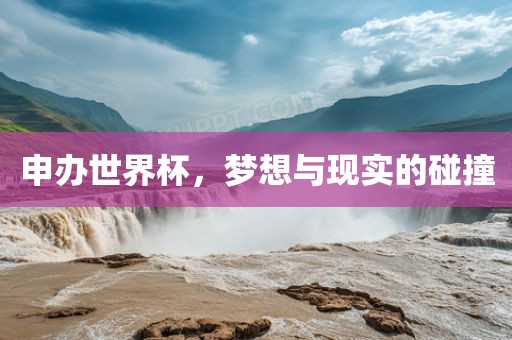 申办世界杯，梦想与现实的碰撞