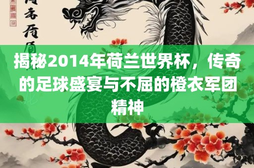 揭秘2014年荷兰世界杯，传奇的足球盛宴与不屈的橙衣军团精神