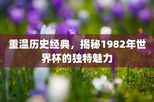 重温历史经典，揭秘1982年世界杯的独特魅力