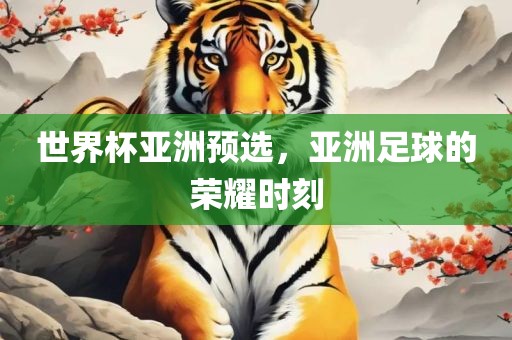 世界杯亚洲预选，亚洲足球的荣耀时刻