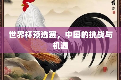 世界杯预选赛，中国的挑战与机遇