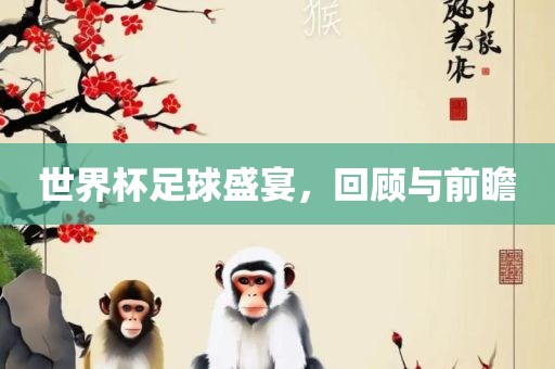 世界杯足球盛宴，回顾与前瞻