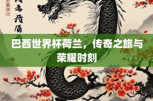 巴西世界杯荷兰，传奇之旅与荣耀时刻