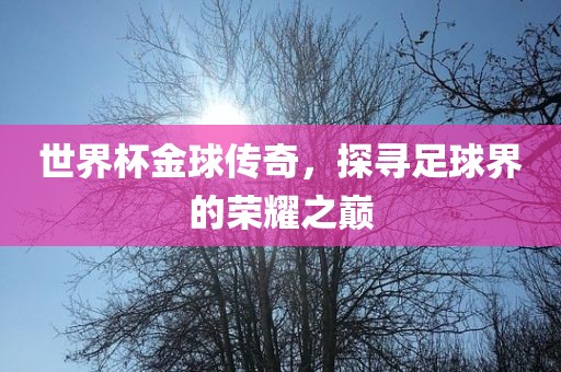 世界杯金球传奇，探寻足球界的荣耀之巅
