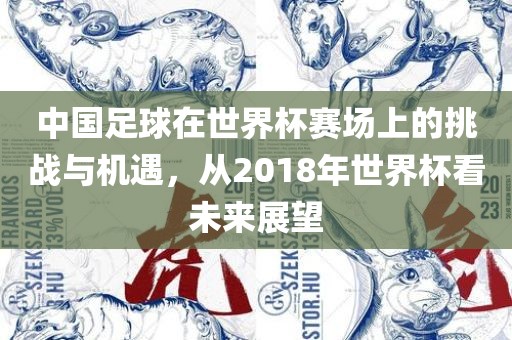 中国足球在世界杯赛场上的挑战与机遇，从2018年世界杯看未来展望