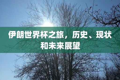 伊朗世界杯之旅，历史、现状和未来展望