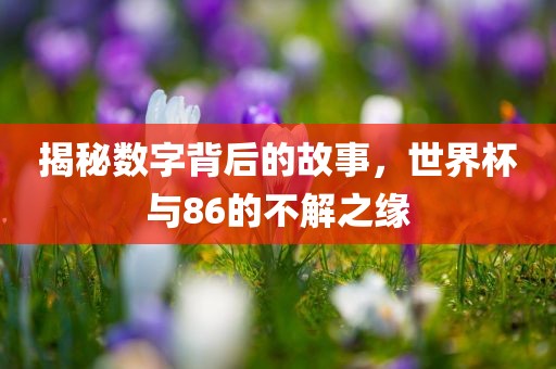揭秘数字背后的故事，世界杯与86的不解之缘