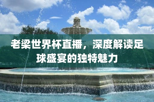 老梁世界杯直播，深度解读足球盛宴的独特魅力