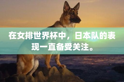 在女排世界杯中，日本队的表现一直备受关注。