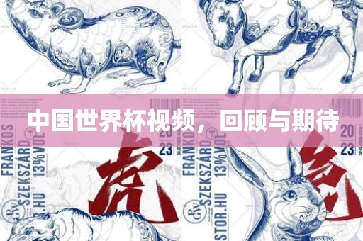 中国世界杯视频，回顾与期待
