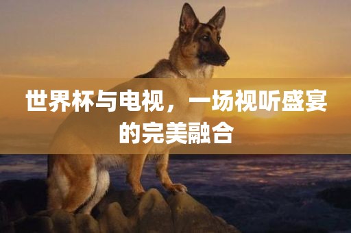 世界杯与电视，一场视听盛宴的完美融合