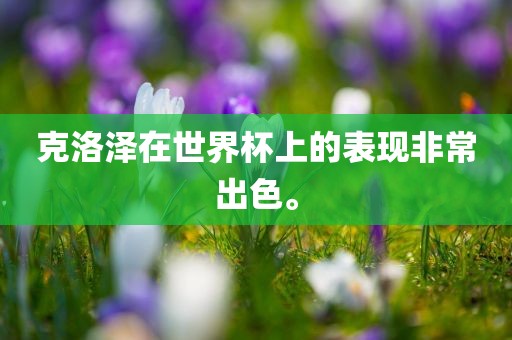 克洛泽在世界杯上的表现非常出色。