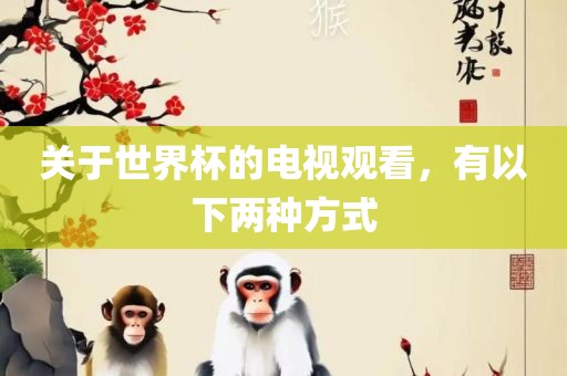 关于世界杯的电视观看，有以下两种方式