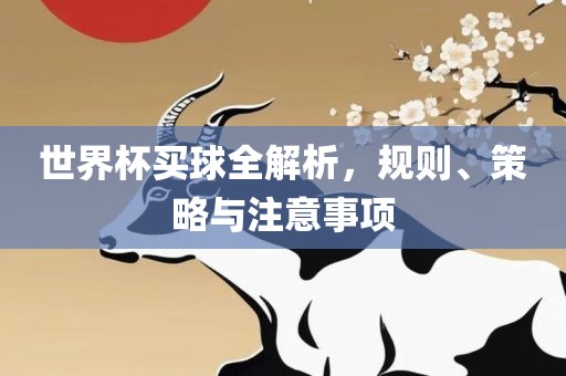 世界杯买球全解析，规则、策略与注意事项