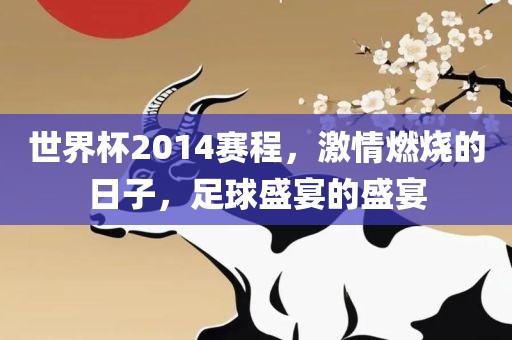 世界杯2014赛程，激情燃烧的日子，足球盛宴的盛宴
