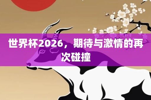 世界杯2026，期待与激情的再次碰撞