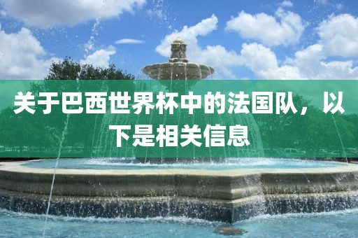 关于巴西世界杯中的法国队，以下是相关信息