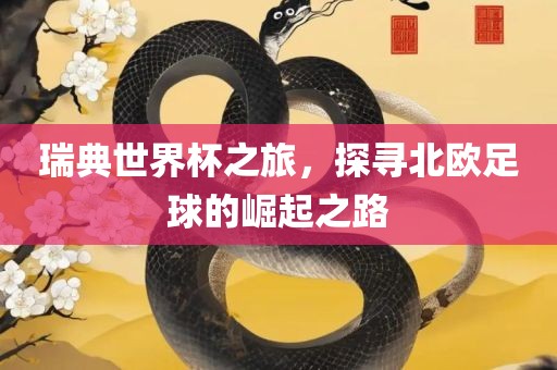 瑞典世界杯之旅，探寻北欧足球的崛起之路
