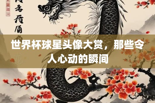 世界杯球星头像大赏，那些令人心动的瞬间