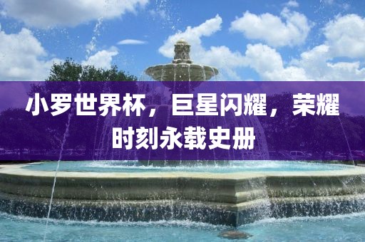 小罗世界杯，巨星闪耀，荣耀时刻永载史册