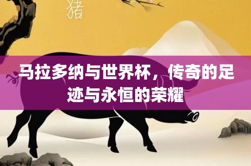 马拉多纳与世界杯，传奇的足迹与永恒的荣耀