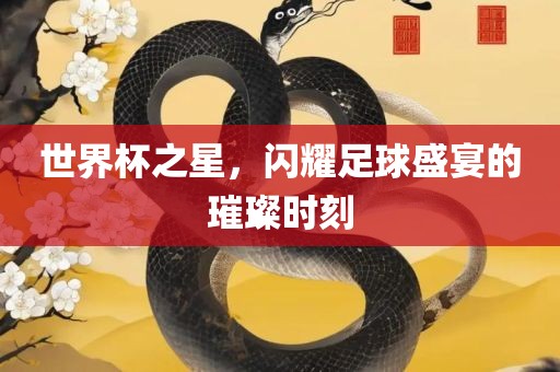 世界杯之星，闪耀足球盛宴的璀璨时刻