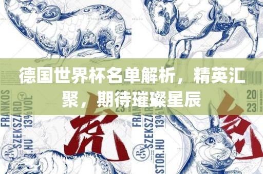 德国世界杯名单解析，精英汇聚，期待璀璨星辰