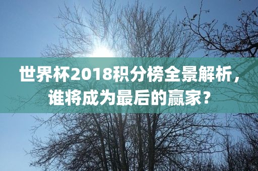 世界杯2018积分榜全景解析，谁将成为最后的赢家？