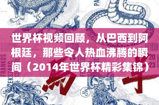 世界杯视频回顾，从巴西到阿根廷，那些令人热血沸腾的瞬间（2014年世界杯精彩集锦）