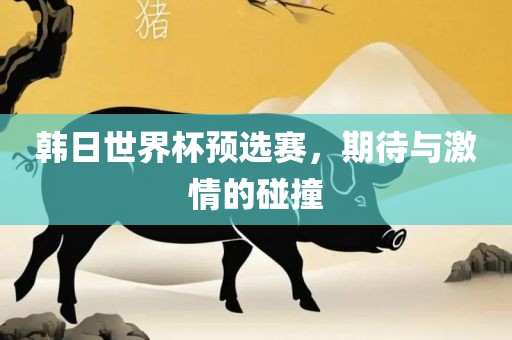 韩日世界杯预选赛，期待与激情的碰撞