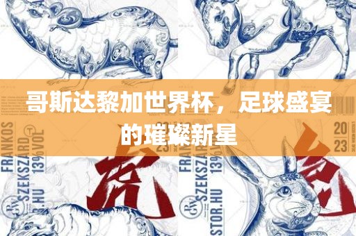 哥斯达黎加世界杯，足球盛宴的璀璨新星