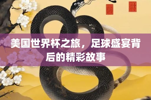 美国世界杯之旅，足球盛宴背后的精彩故事