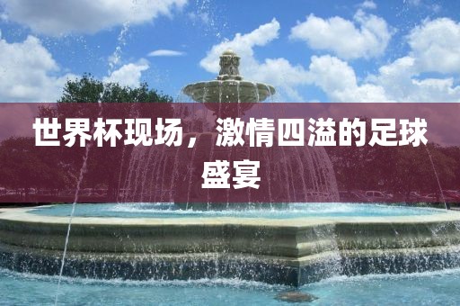 世界杯现场，激情四溢的足球盛宴
