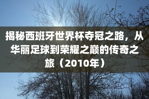 揭秘西班牙世界杯夺冠之路，从华丽足球到荣耀之巅的传奇之旅（2010年）