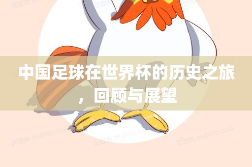 中国足球在世界杯的历史之旅，回顾与展望