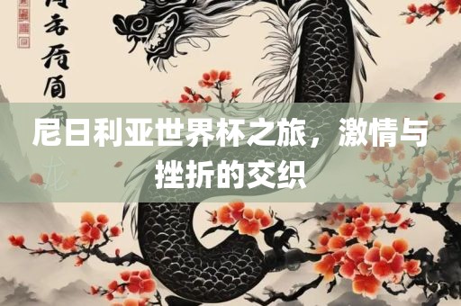 尼日利亚世界杯之旅，激情与挫折的交织