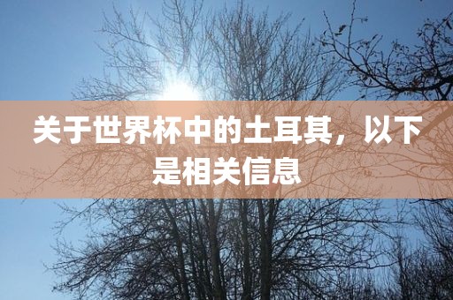 关于世界杯中的土耳其，以下是相关信息