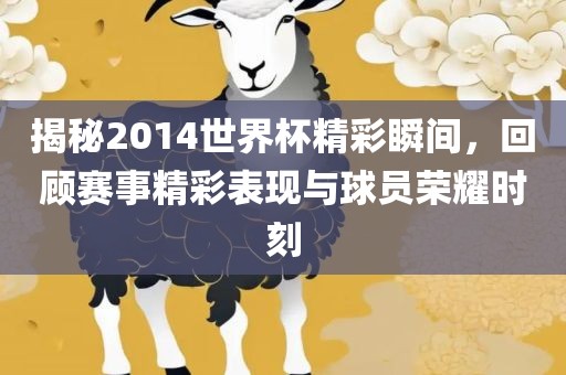 揭秘2014世界杯精彩瞬间，回顾赛事精彩表现与球员荣耀时刻