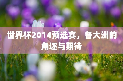 世界杯2014预选赛，各大洲的角逐与期待
