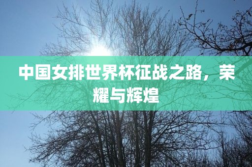 中国女排世界杯征战之路，荣耀与辉煌