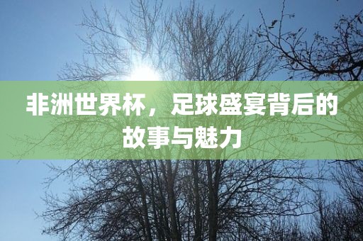 非洲世界杯，足球盛宴背后的故事与魅力