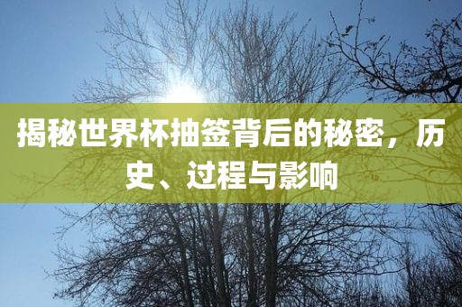 揭秘世界杯抽签背后的秘密，历史、过程与影响